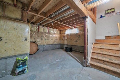18 Martinvalley Way Ne, Calgary, AB - Indoor Photo Showing Basement