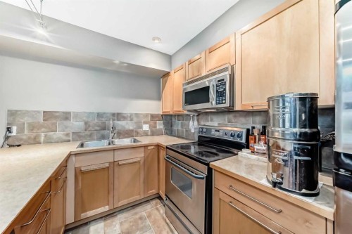 206-1505 27 Avenue Sw, Calgary, AB - Indoor Photo Showing Kitchen With Double Sink