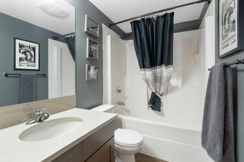 1104-2461 Baysprings Link Sw, Airdrie, AB - Indoor Photo Showing Bathroom