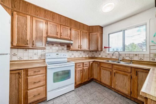 279 Beddington Circle Ne, Calgary, AB - Indoor Photo Showing Kitchen With Double Sink