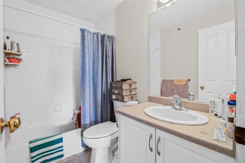 308-3308 Valleyview Park Se, Calgary, AB - Indoor Photo Showing Bathroom