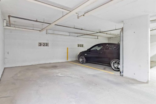 308-3308 Valleyview Park Se, Calgary, AB - Indoor Photo Showing Garage