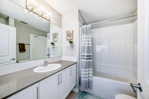 8-138 Seton Passage Se, Calgary, AB - Indoor Photo Showing Bathroom