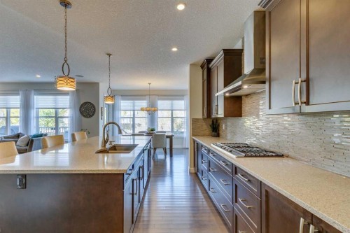 522 Mahogany Manor Se, Calgary, AB - Indoor Photo Showing Kitchen With Upgraded Kitchen