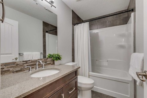 522 Mahogany Manor Se, Calgary, AB - Indoor Photo Showing Bathroom