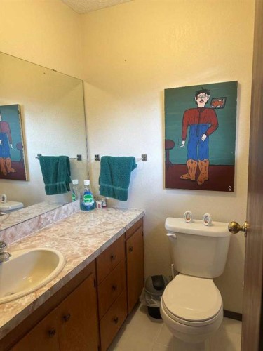 5119 51 Ave, Caroline, AB - Indoor Photo Showing Bathroom