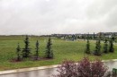 20 Nolancrest Green Nw, Calgary, AB  - Outdoor With View 