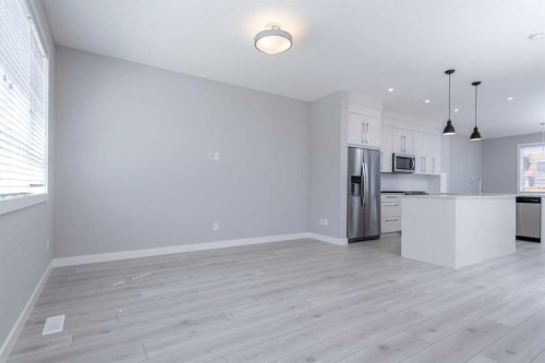 64 Red Embers Manor Ne, Calgary, AB - Indoor Photo Showing Kitchen With Stainless Steel Kitchen With Upgraded Kitchen