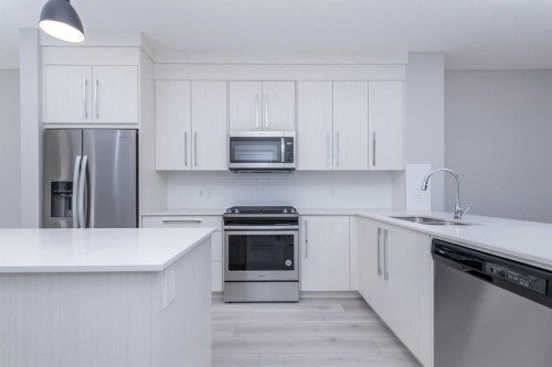 64 Red Embers Manor Ne, Calgary, AB - Indoor Photo Showing Kitchen With Stainless Steel Kitchen With Double Sink With Upgraded Kitchen