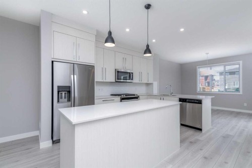 64 Red Embers Manor Ne, Calgary, AB - Indoor Photo Showing Kitchen With Stainless Steel Kitchen With Upgraded Kitchen