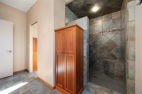 290254 96 Street West, Rural Foothills County, AB - Indoor Photo Showing Bathroom