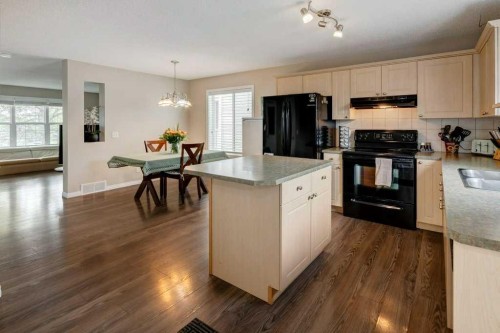 14 Everglen Manor Sw, Calgary, AB - Indoor Photo Showing Kitchen With Double Sink