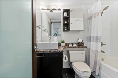302-1709 19 Avenue Sw, Calgary, AB - Indoor Photo Showing Bathroom