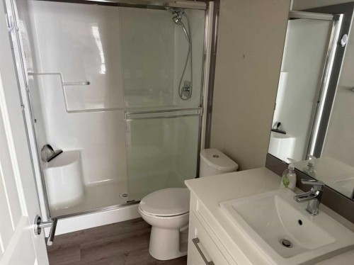 203-100 Auburn  Meadows Common Se, Calgary, AB - Indoor Photo Showing Bathroom