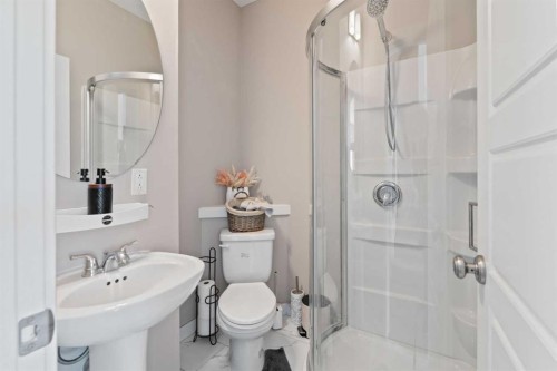 128 Livingston Parade Ne, Calgary, AB - Indoor Photo Showing Bathroom