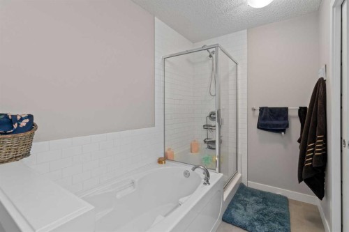 128 Livingston Parade Ne, Calgary, AB - Indoor Photo Showing Bathroom