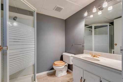 108 Sunbank Way Se, Calgary, AB - Indoor Photo Showing Bathroom