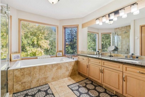 26 Mt Robson Close Se, Calgary, AB - Indoor Photo Showing Bathroom