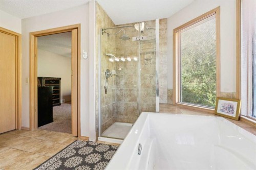 26 Mt Robson Close Se, Calgary, AB - Indoor Photo Showing Bathroom