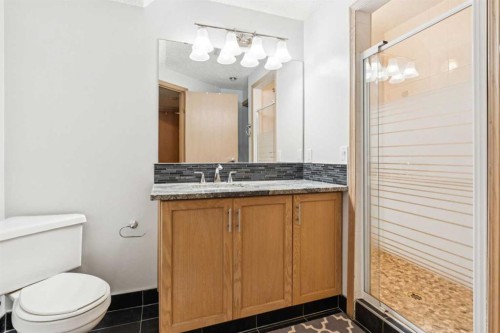 26 Mt Robson Close Se, Calgary, AB - Indoor Photo Showing Bathroom