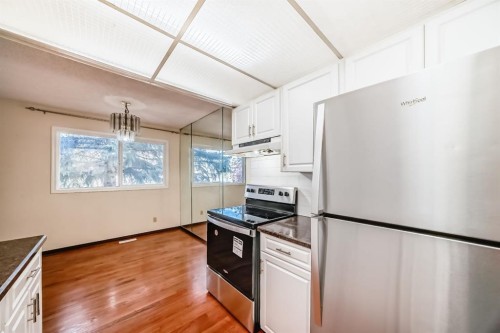 93-6100 4 Avenue Ne, Calgary, AB - Indoor Photo Showing Kitchen With Stainless Steel Kitchen