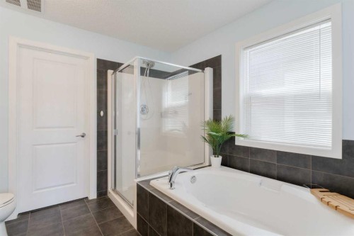 271 River Heights Crescent, Cochrane, AB - Indoor Photo Showing Bathroom