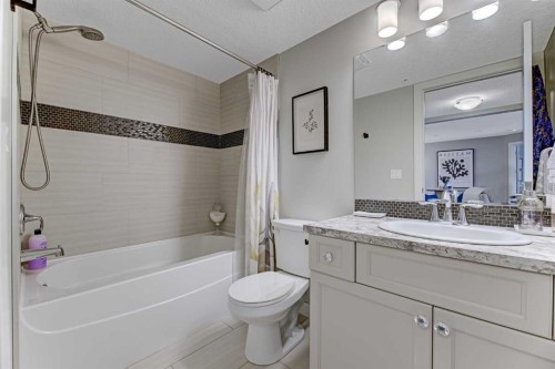 210-5029 Edgemont Boulevard Nw, Edmonton, AB - Indoor Photo Showing Bathroom