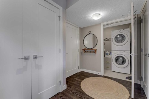 210-5029 Edgemont Boulevard Nw, Edmonton, AB - Indoor Photo Showing Laundry Room