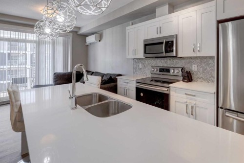 315-100 Auburn Meadows Common Se, Calgary, AB - Indoor Photo Showing Kitchen With Double Sink