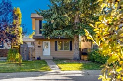 17 Sunvale Crescent SE Calgary, AB T2X 2T1