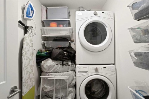 332-20 Seton Park Se, Calgary, AB - Indoor Photo Showing Laundry Room