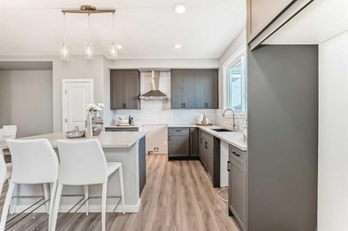 64 Bartlett Way Se, Calgary, AB - Indoor Photo Showing Kitchen With Upgraded Kitchen