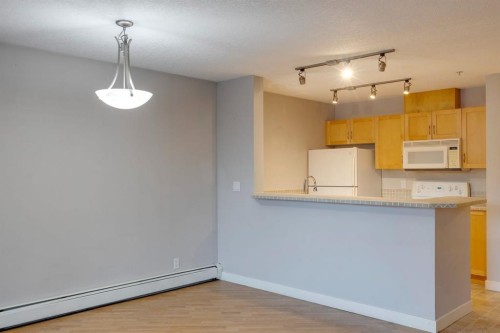 107-2440 34 Avenue Sw, Calgary, AB - Indoor Photo Showing Kitchen