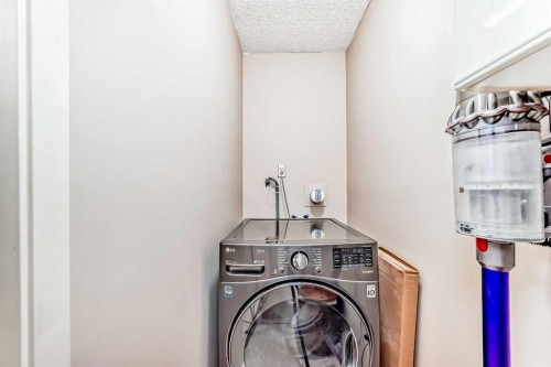 10D-80 Galbraith Drive Sw, Calgary, AB - Indoor Photo Showing Laundry Room