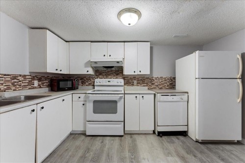 29 Martinvalley Place Ne, Calgary, AB - Indoor Photo Showing Kitchen With Double Sink