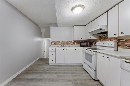 29 Martinvalley Place Ne, Calgary, AB - Indoor Photo Showing Kitchen With Double Sink