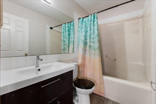 29 Martinvalley Place Ne, Calgary, AB - Indoor Photo Showing Bathroom