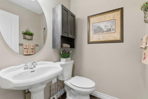 788 Luxstone Landing Sw, Airdrie, AB - Indoor Photo Showing Bathroom