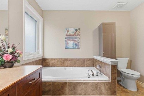 788 Luxstone Landing Sw, Airdrie, AB - Indoor Photo Showing Bathroom