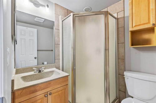 111 Edgebyne Crescent Nw, Calgary, AB - Indoor Photo Showing Bathroom