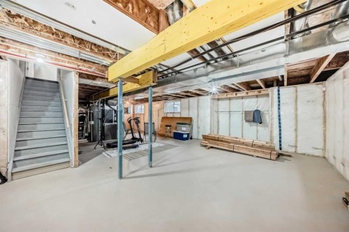 132 Waterlily Cove, Chestermere, AB - Indoor Photo Showing Basement