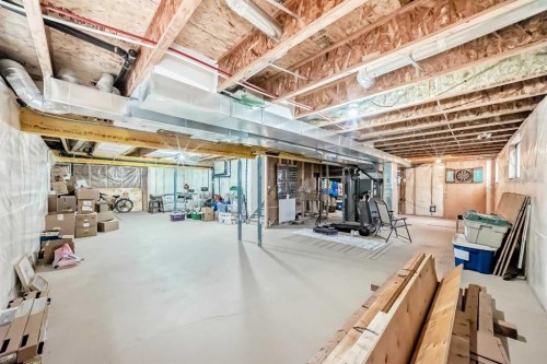 132 Waterlily Cove, Chestermere, AB - Indoor Photo Showing Basement