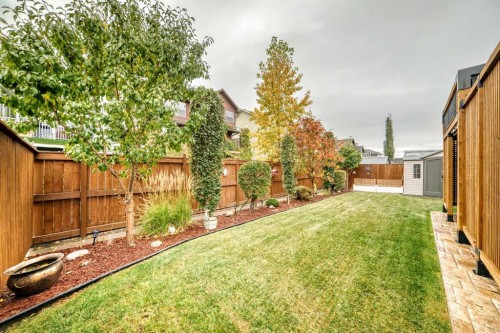 132 Waterlily Cove, Chestermere, AB - Outdoor With Backyard