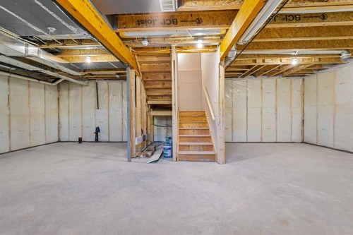95 Dawson Wharf Mount, Chestermere, AB - Indoor Photo Showing Basement