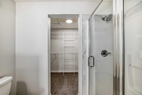 374 Corner Glen Way Ne, Calgary, AB - Indoor Photo Showing Bathroom