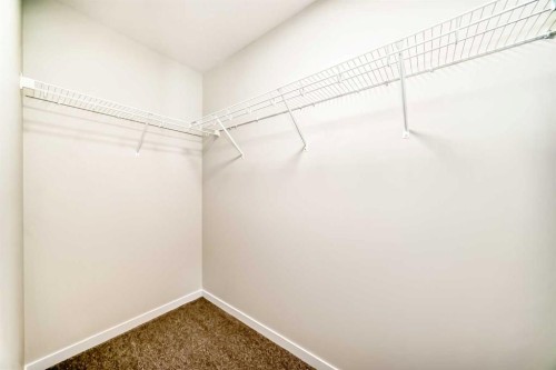 1030 Sawgrass Link Nw, Airdrie, AB - Indoor With Storage