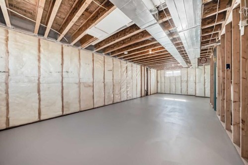 1030 Sawgrass Link Nw, Airdrie, AB - Indoor Photo Showing Basement