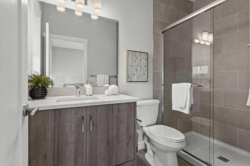 507 Shawnee Square Sw, Calgary, AB - Indoor Photo Showing Bathroom