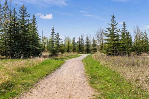 507 Shawnee Square Sw, Calgary, AB - Outdoor With View