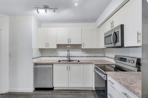 1211-755 Copperpond Boulevard Se, Calgary, AB - Indoor Photo Showing Kitchen With Double Sink